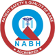 Nabh logo