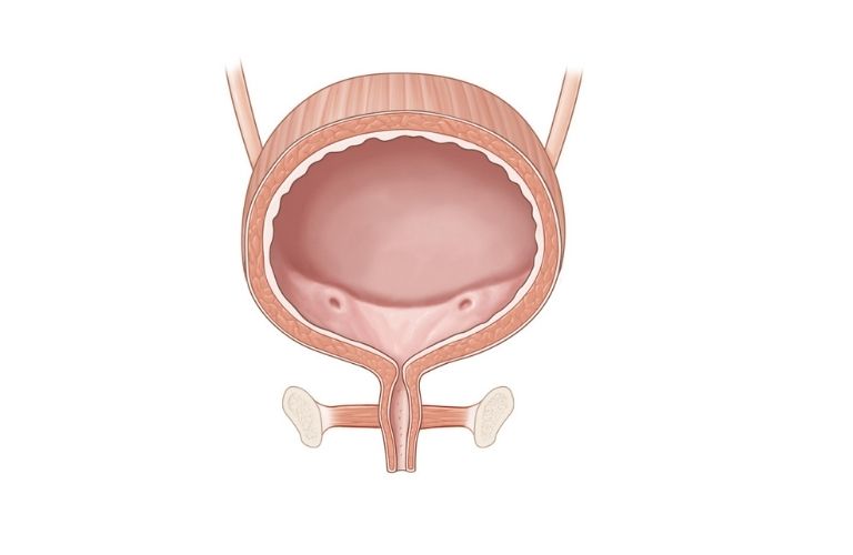 urinary-incontinence overview